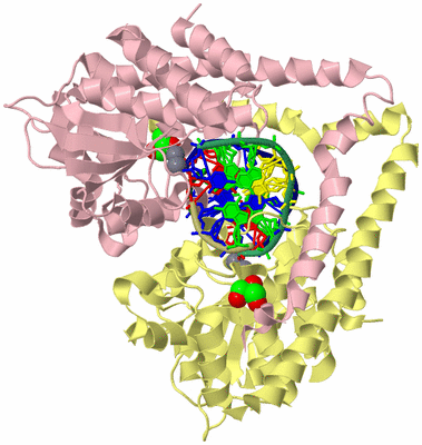 Image Biological Unit 4