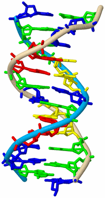 Image Biological Unit 5