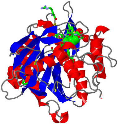 Image Asym./Biol. Unit - sites