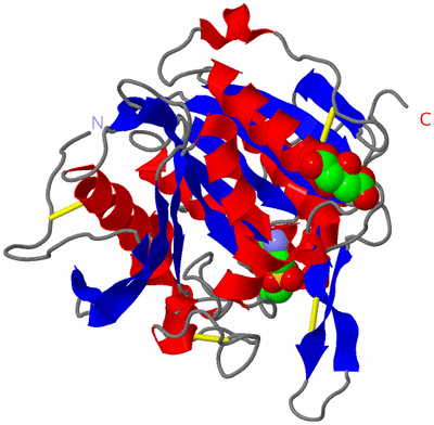 Image Asym./Biol. Unit