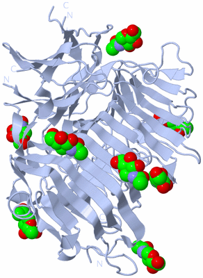 Image Biological Unit 1