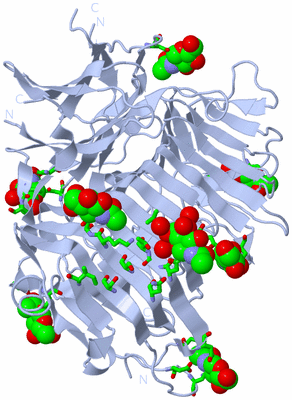 Image Biol. Unit 1 - sites