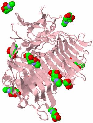 Image Biological Unit 3