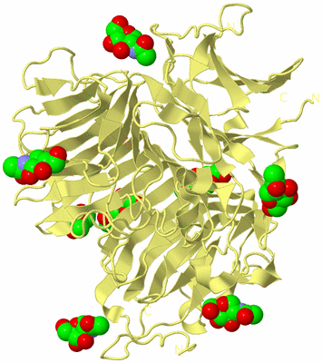 Image Biological Unit 4