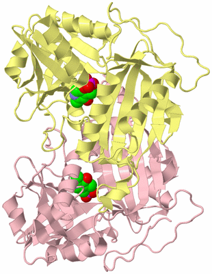 Image Biological Unit 2