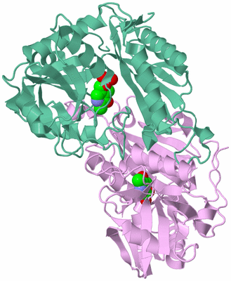 Image Biological Unit 3