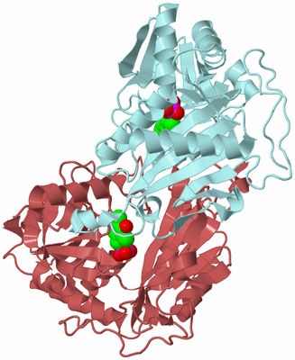 Image Biological Unit 4