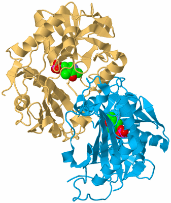 Image Biological Unit 5