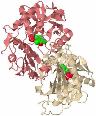 Image Biological Unit 6