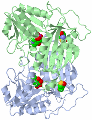 Image Biological Unit 1