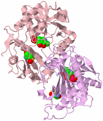 Image Biological Unit 2