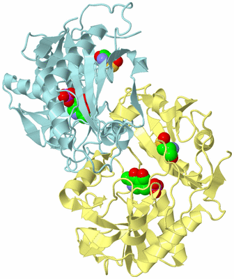 Image Biological Unit 3