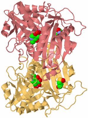 Image Biological Unit 4