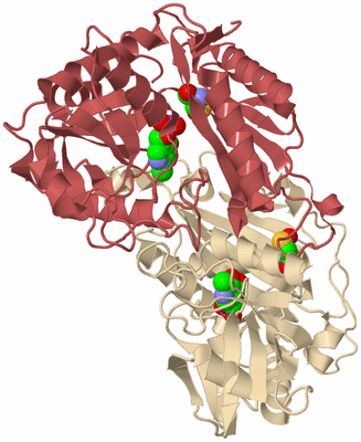 Image Biological Unit 5