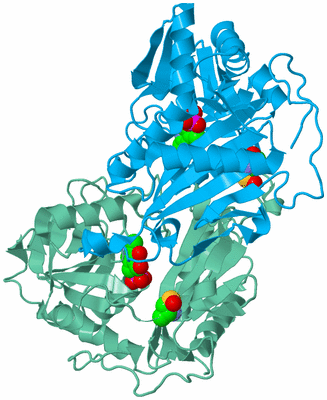 Image Biological Unit 6