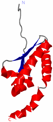 Image Asymmetric Unit