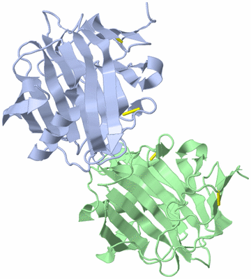 Image Asymmetric Unit