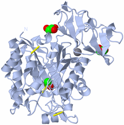 Image Biological Unit 1