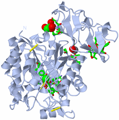 Image Biol. Unit 1 - sites