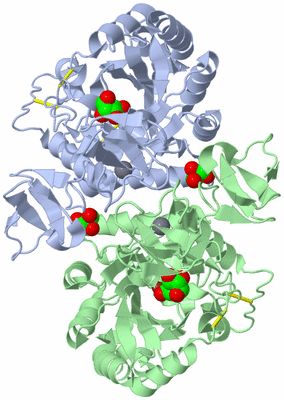 Image Biological Unit 3