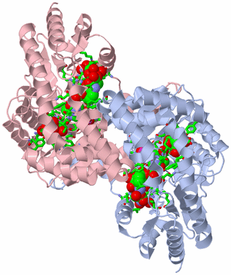 Image Asym./Biol. Unit - sites