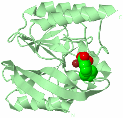 Image Biological Unit 2