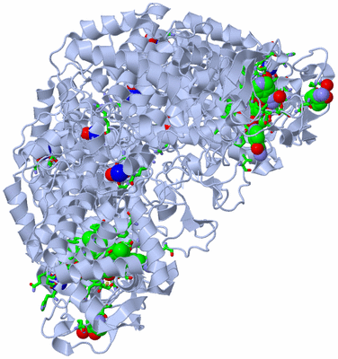 Image Biol. Unit 1 - sites