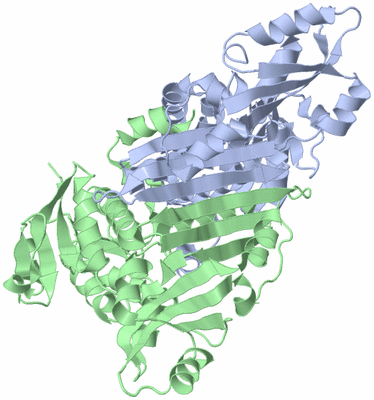 Image Asym./Biol. Unit