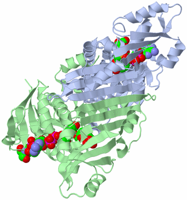 Image Asym./Biol. Unit