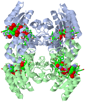 Image Biol. Unit 1 - sites