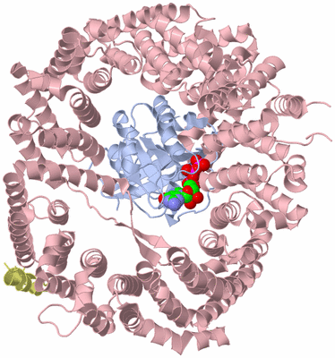 Image Asym./Biol. Unit