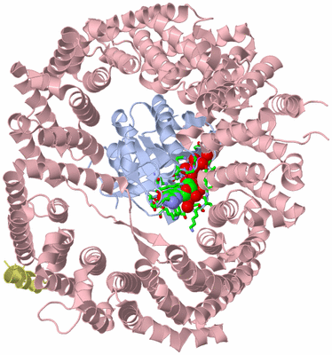 Image Asym./Biol. Unit - sites