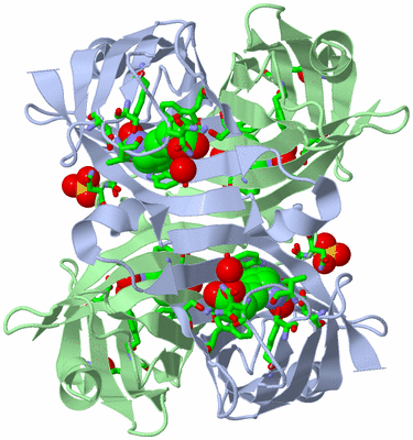 Image Biol. Unit 1 - sites