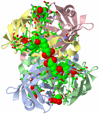 Image Asym./Biol. Unit - sites