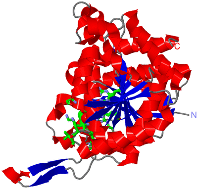 Image Asym. Unit - sites