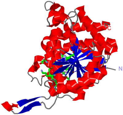 Image Asym. Unit - sites