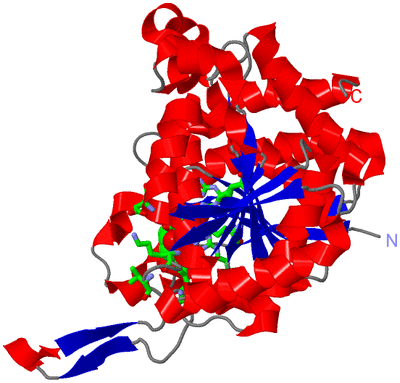 Image Asym. Unit - sites