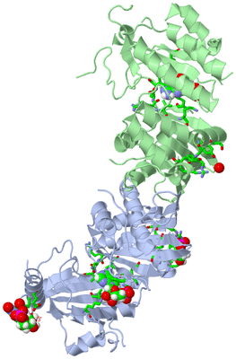 Image Asym./Biol. Unit - sites