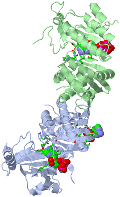 Image Asym./Biol. Unit - sites