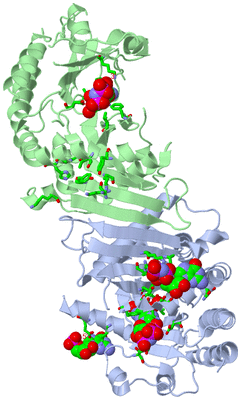 Image Asym./Biol. Unit - sites