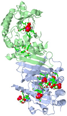 Image Asym./Biol. Unit - sites