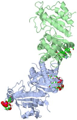 Image Asym./Biol. Unit - sites