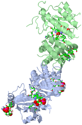 Image Asym./Biol. Unit - sites