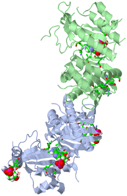 Image Asym./Biol. Unit - sites