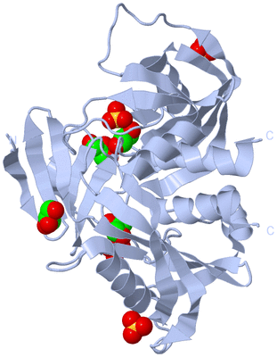 Image Biological Unit 1