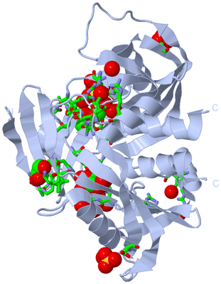 Image Biol. Unit 1 - sites