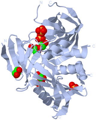 Image Biological Unit 1