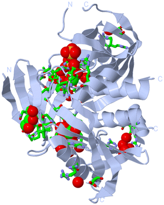 Image Biol. Unit 1 - sites