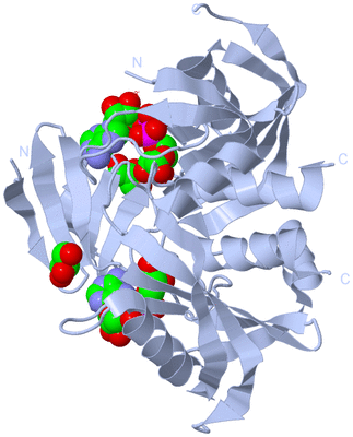 Image Biological Unit 1