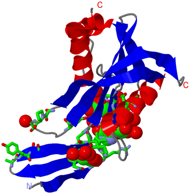 Image Asym. Unit - sites